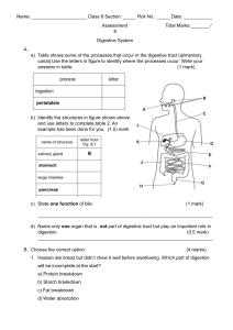 Digestive System Assessment - Middle School