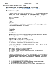 Digestive System Functions Worksheet