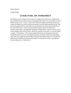 Madeiran Scops Owl: Extinct Species Worksheet
