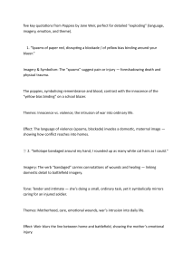 Poppies Poem Analysis: Key Quotes & Themes