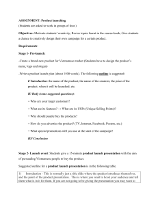 Product Launch Assignment: Vietnamese Market