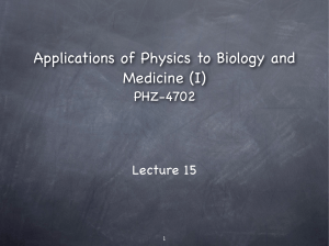 Physics Applications in Biology & Medicine: Lecture 15 (PHZ-4702)