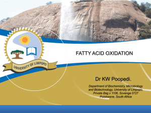 Fatty Acid Oxidation & Ketone Bodies