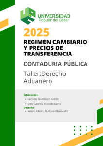 R&eacute;gimen Cambiario y Precios de Transferencia: Derecho Aduanero