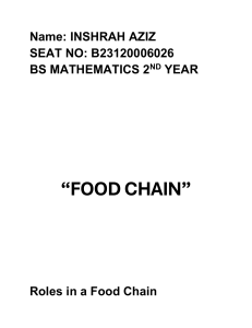Food Chain: Roles, Types, and Importance in Ecosystems