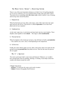 The Water Cycle: Nature's Recycling System Explained