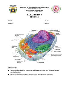 Cell Organelle Identification Lab Activity