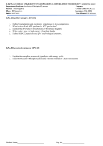 Bioenergetics Exam: Glycolysis, ATP Synthase, Mitochondria