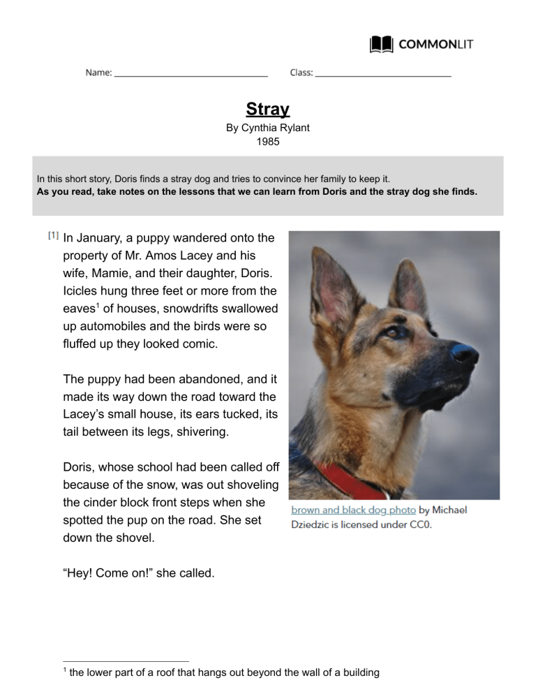 "Stray" by Cynthia Rylant: Short Story & Character Lessons