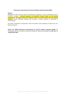 Performance Measurement for SMEs: Financial & Non-Financial Approaches