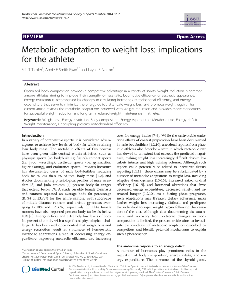 Metabolic Adaptation to Weight Loss in Athletes