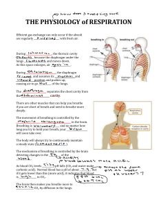 Physiology of Respiration: Breathing Mechanics & Control