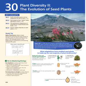 Seed Plant Evolution: Gymnosperms & Angiosperms