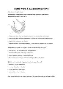 Gas Exchange Homework: Biology MCQs & Short Answer Questions