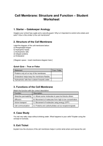 Cell Membrane Structure & Function Worksheet