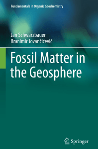 Fossil Matter in the Geosphere: Organic Geochemistry Textbook