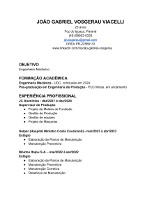 Jo&atilde;o Gabriel Viacelli - Curr&iacute;culo de Engenheiro Mec&acirc;nico