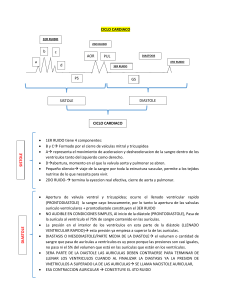 Cardiac Cycle: Heart Sounds and Diastole Phases