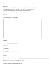 Ecosystem Food Chain & Food Web Worksheet | Biology Activity