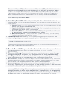 End-Stage Renal Disease (ESRD): Causes, Pathology, and Treatment