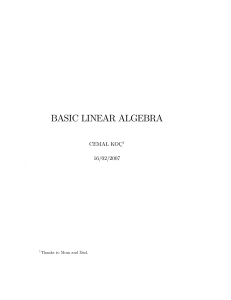 Basic Linear Algebra Textbook by Cemal Ko&ccedil; - Matrices, Vectors