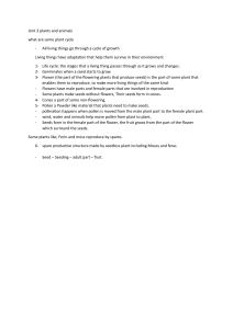 Plant and Animal Life Cycles: Elementary Science