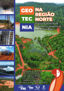 Engenharia Geot&eacute;cnica no Norte do Brasil