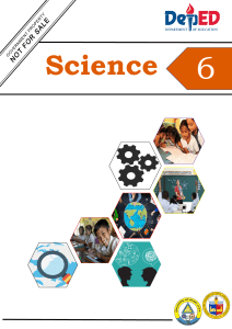 Science 6: Classifying Vertebrates - Self-Learning Module (DepEd Pasig)