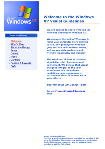 Windows XP Visual Guidelines: Design, Fonts, Colors, Icons & Controls