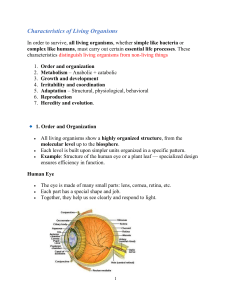 Characteristics of Living Organisms: Biology Basics