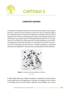 Cariotipo Humano: Estructura, Anomal&iacute;as y T&eacute;cnicas de Bandeo