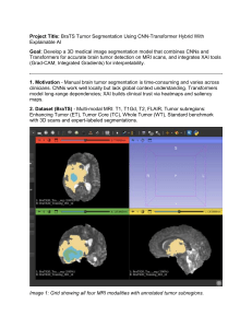 BraTS Tumor Segmentation: CNN-Transformer & Explainable AI