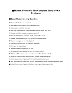Human Evolution: Student Viewing Questions