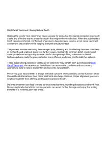 Root Canal Treatment: Saving Natural Teeth & Relieving Pain