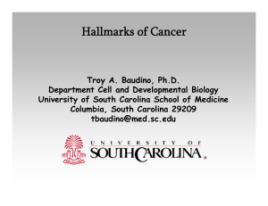 Hallmarks of Cancer: Oncogenes, Tumor Suppressors, Angiogenesis