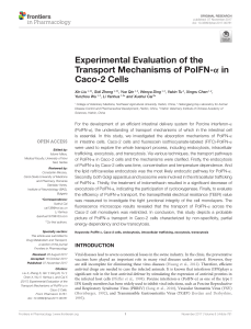 PoIFN-&alpha; Transport Mechanisms in Caco-2 Cells: An Experimental Study