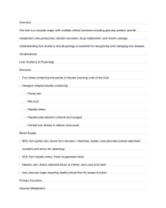 Liver Anatomy, Physiology & Disease Study Guide