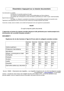 Dissertation : pertinence des classes sociales en France