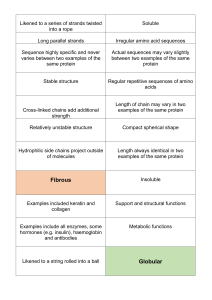 Fibrous vs. Globular Proteins: Structure, Function & Examples