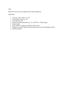 Flag Preservation in Assembly: Instructions