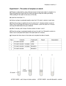 Amylase on Starch Experiment