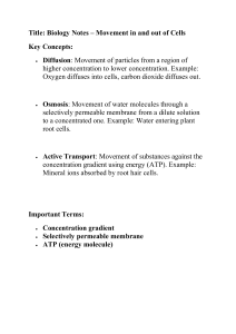 Cell Transport: Diffusion, Osmosis, Active Transport Notes