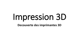 Impression 3D: Introduction &agrave; la fabrication additive