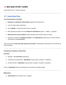 Bio Quiz Study Guide: Animal Body Plans, Fungi & Virulence