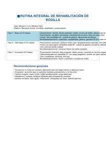 Rutina Integral de Rehabilitaci&oacute;n de Rodilla