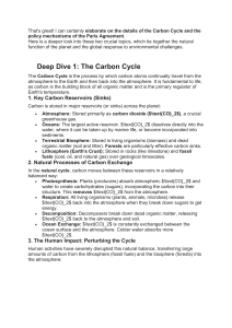 The Carbon Cycle & Paris Agreement: Deep Dive into Climate Action