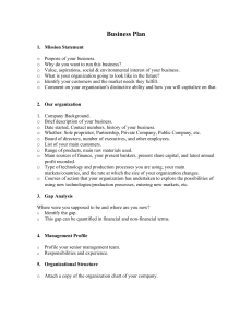 Comprehensive Business Plan Guide: Structure, Strategy & Analysis