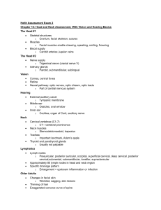 Health Assessment Exam 2: Head, Neck, Vision, Hearing, Nose, Mouth, Throat