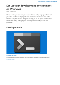 Windows Development Environment Setup Guide