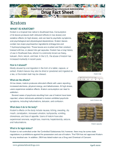 Kratom Drug Fact Sheet: Effects, Abuse, & Legal Status | DEA